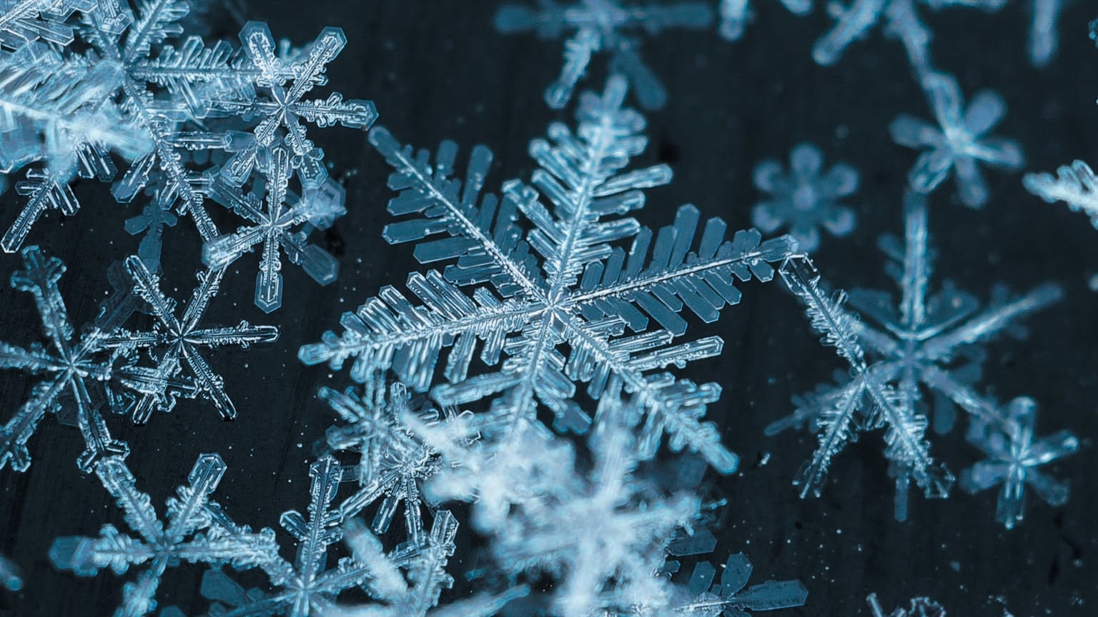 snowflakes