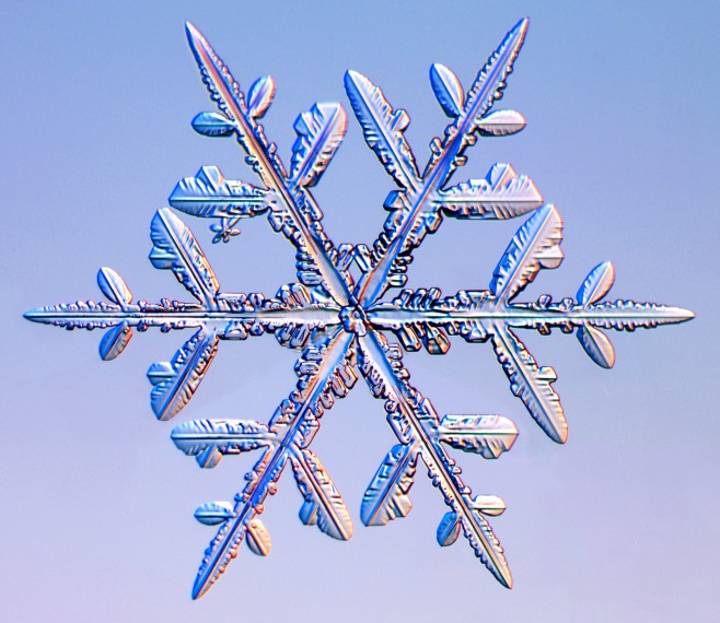 snowflakes
