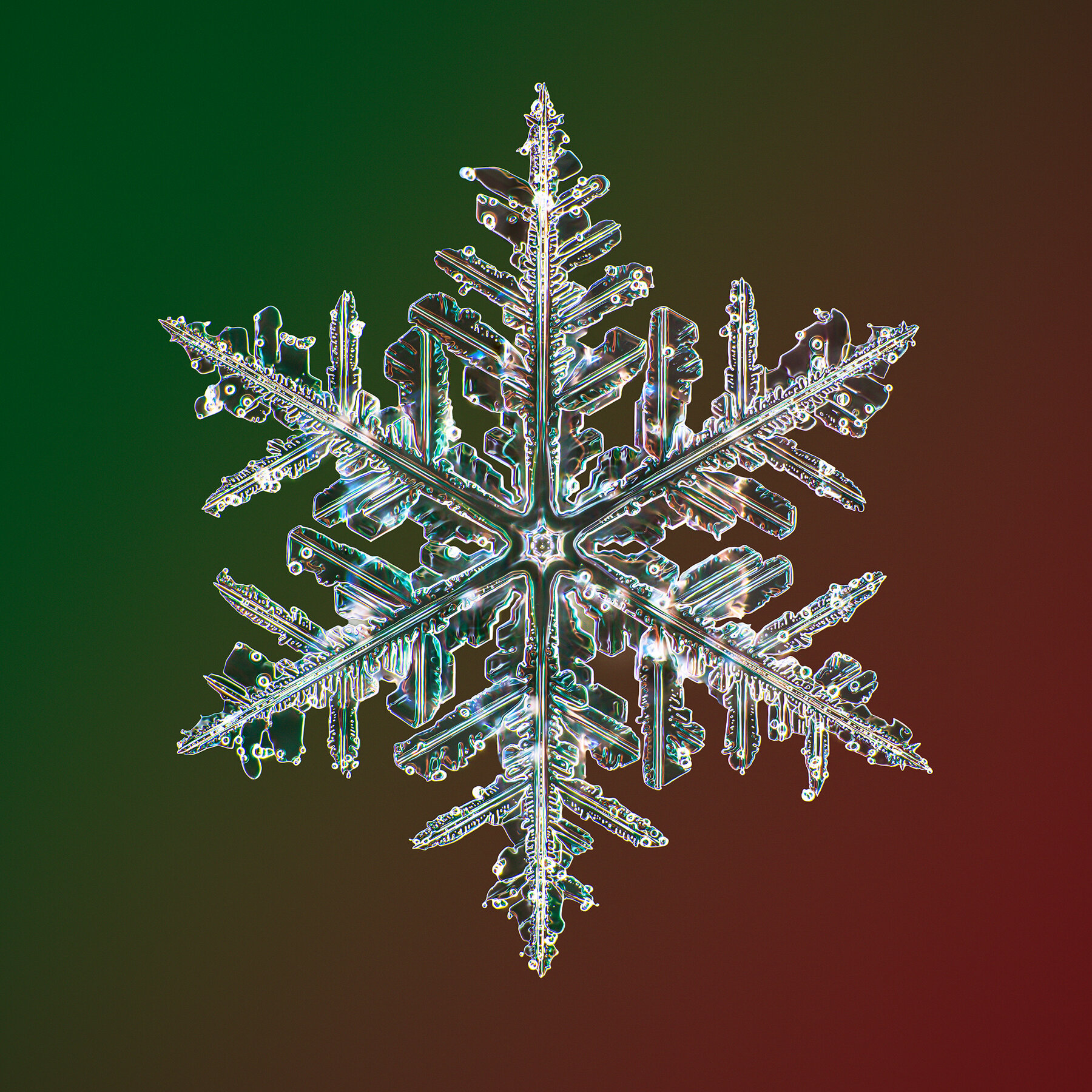 snowflakes