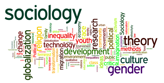 Sociology and Anthropology | Sociology | About Us