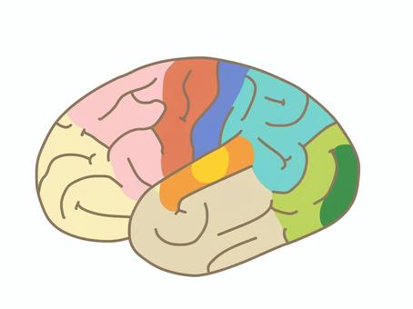 somatosensory cliparts