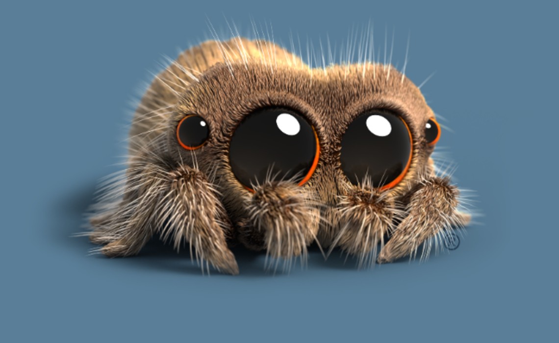 spider cartoon pictures