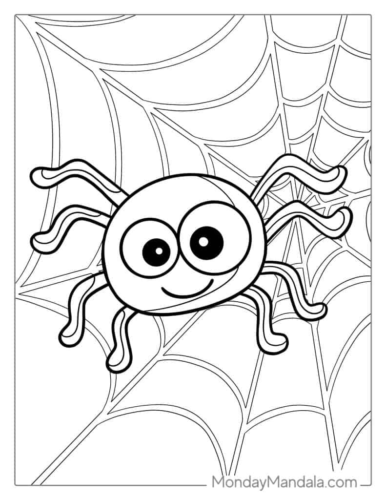 spider coloring sheets