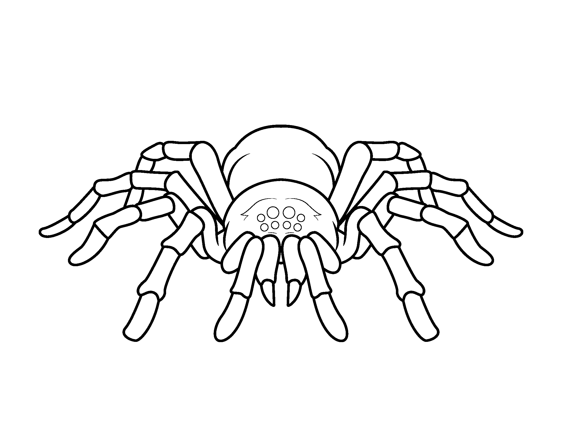 spider coloring sheets