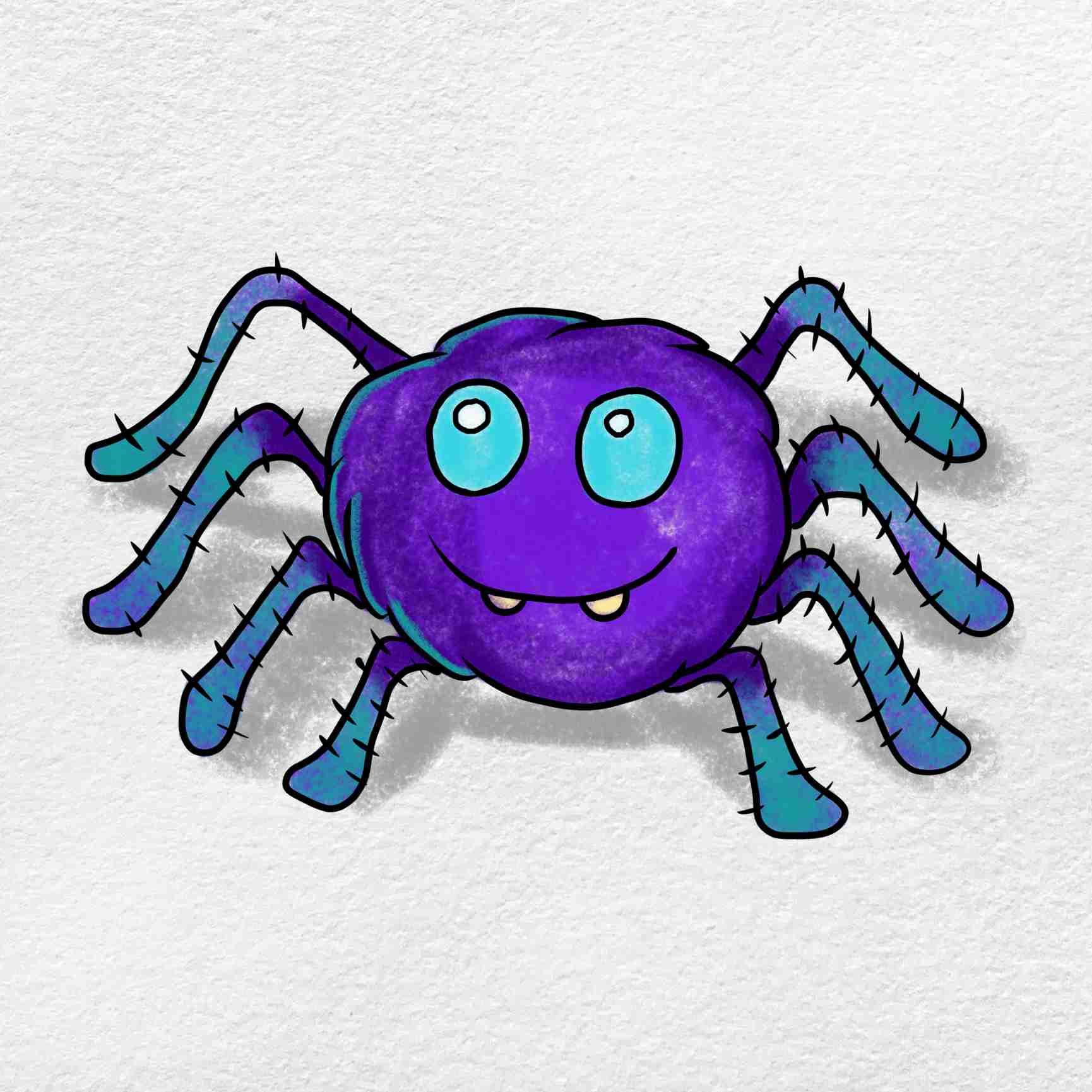 spider pictures for kids