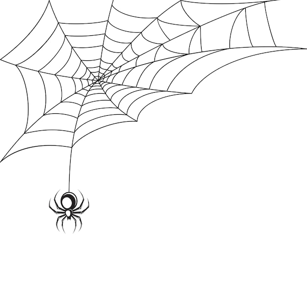 spider web images free