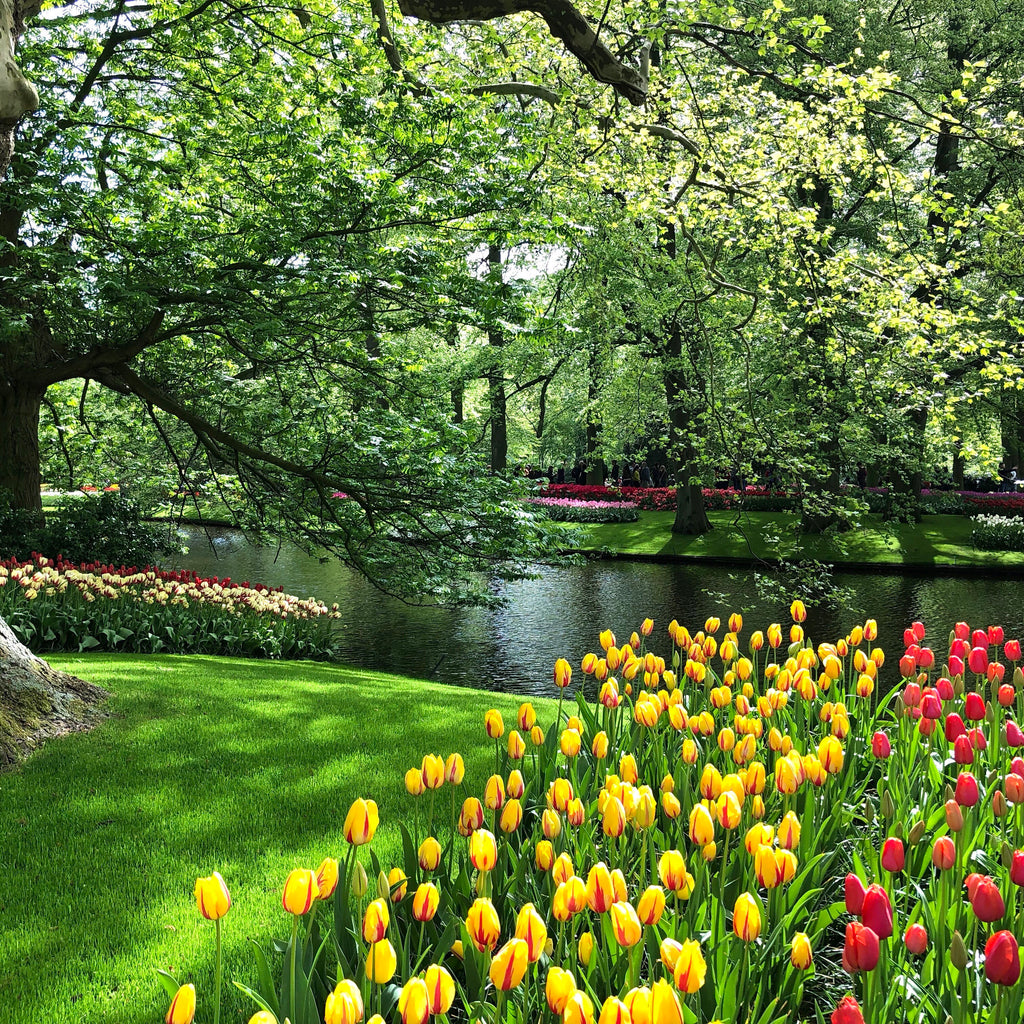 Free Vector | Realistic spring time background