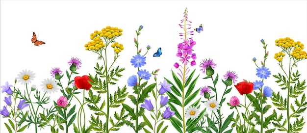 spring wildflowers cliparts