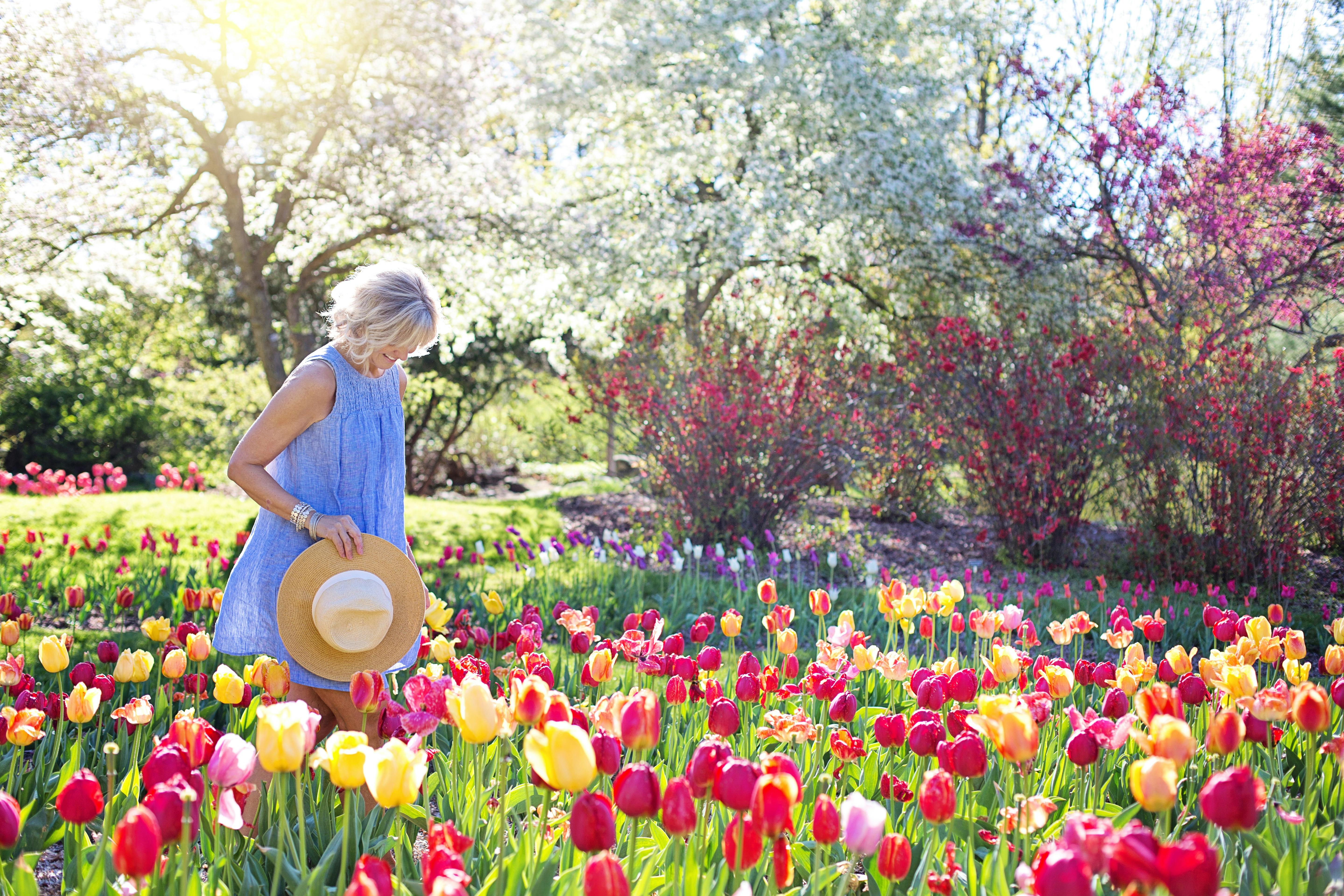 Springtime Photos, Download The BEST Free Springtime Stock Photos ...