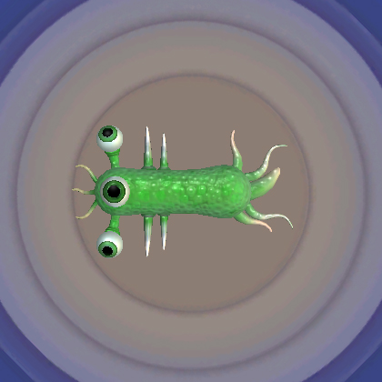 Squiggly | SporeWiki | Fandom