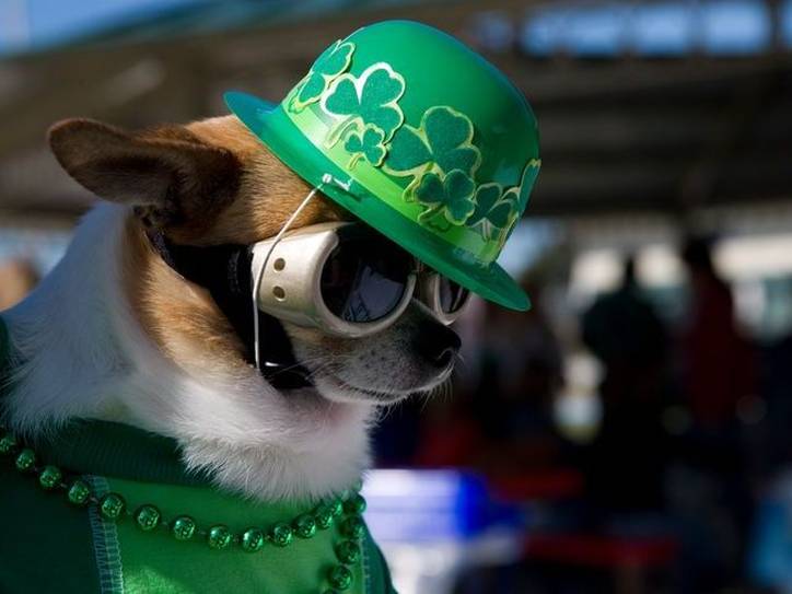 st patty pictures