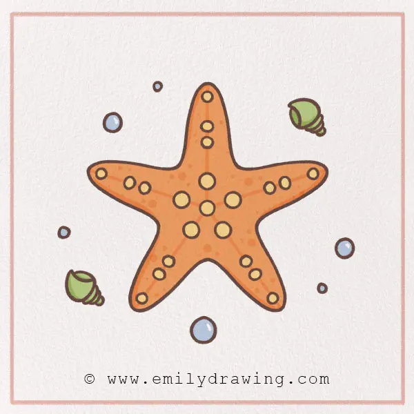 How to Draw a Starfish - Emily Drawing