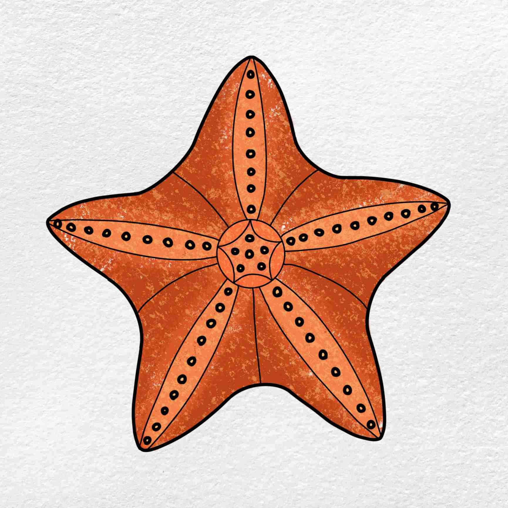 starfish drawings