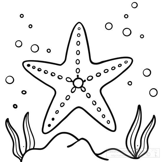 starfish line cliparts