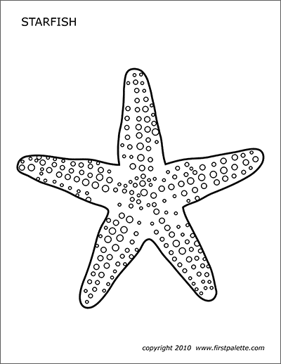 Starfish | Free Printable Templates &amp; Coloring Pages ...