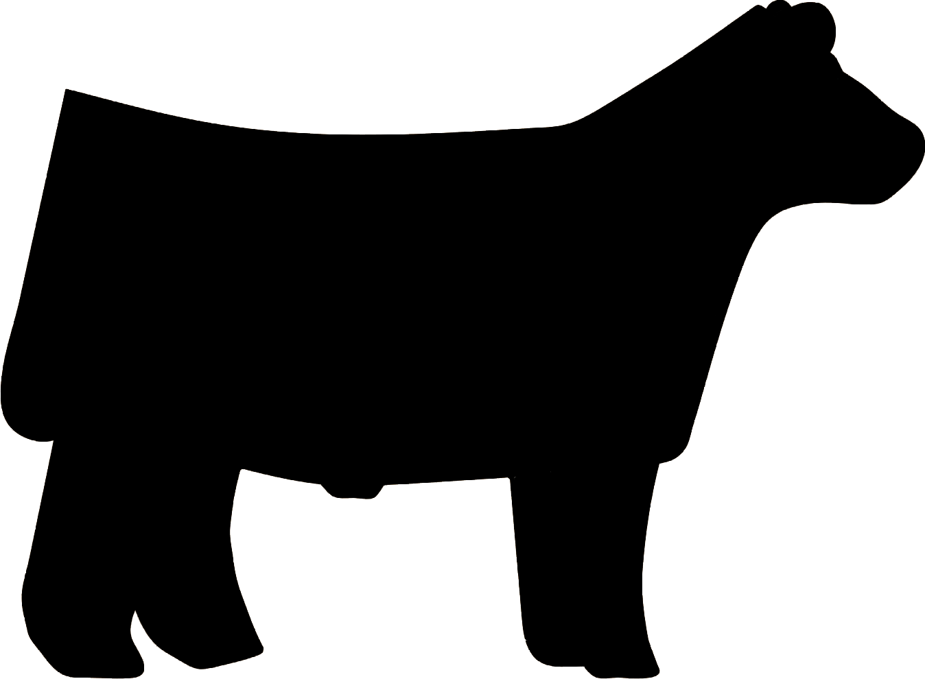 steer cliparts