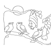 stellaluna coloring page