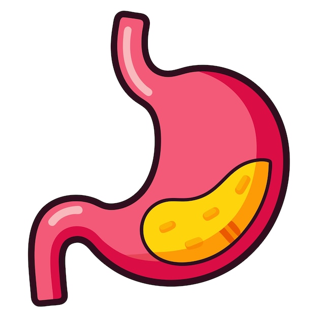 Stomach clipart vector art and illustration | Premium AI-generated ...