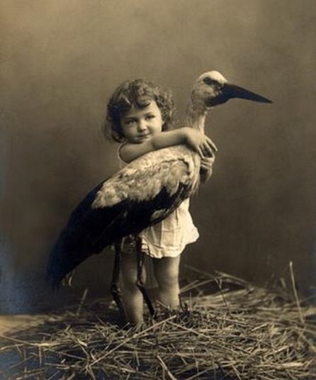 stork and baby images
