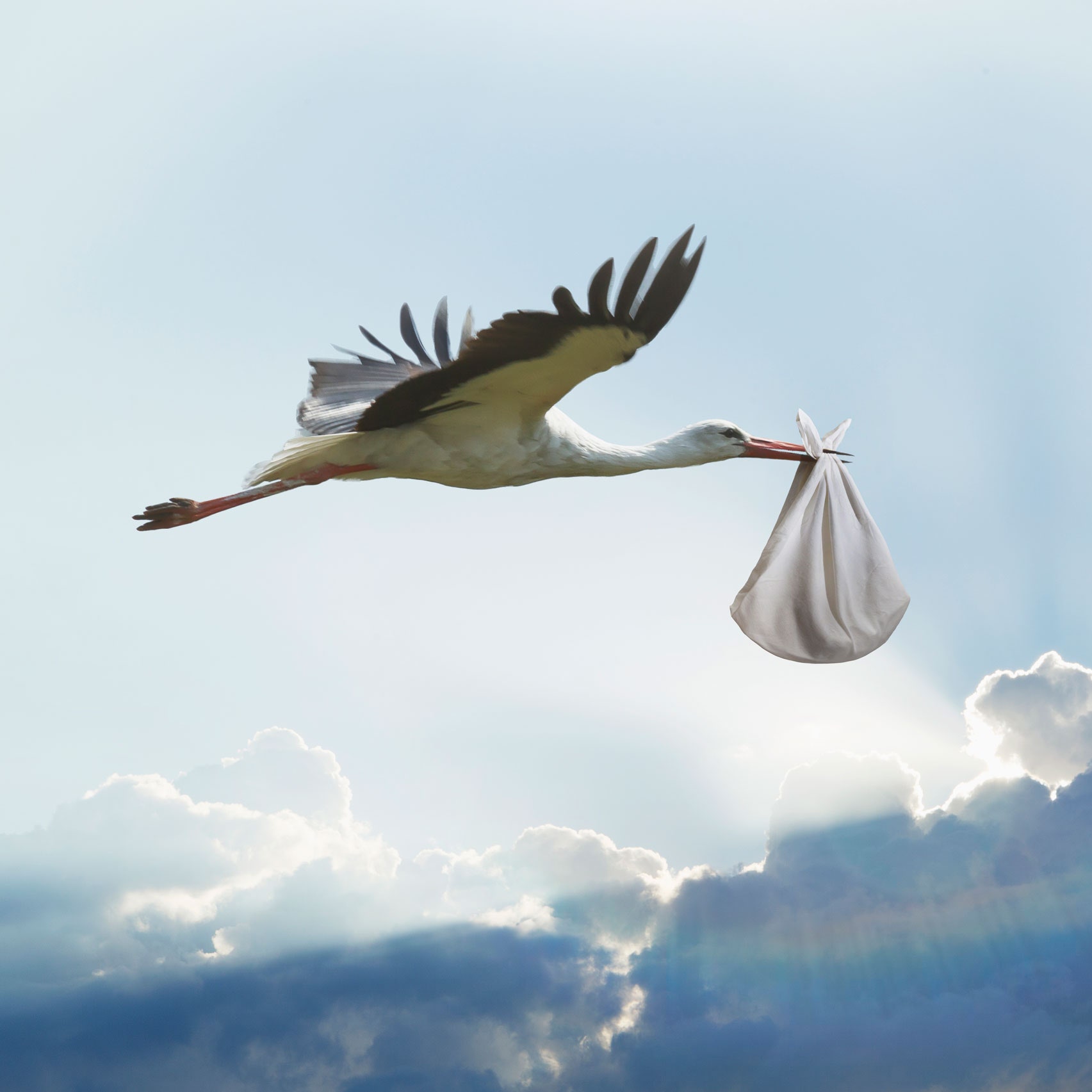 stork and baby