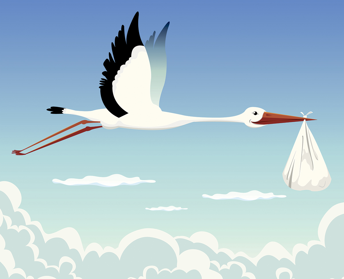 stork and baby