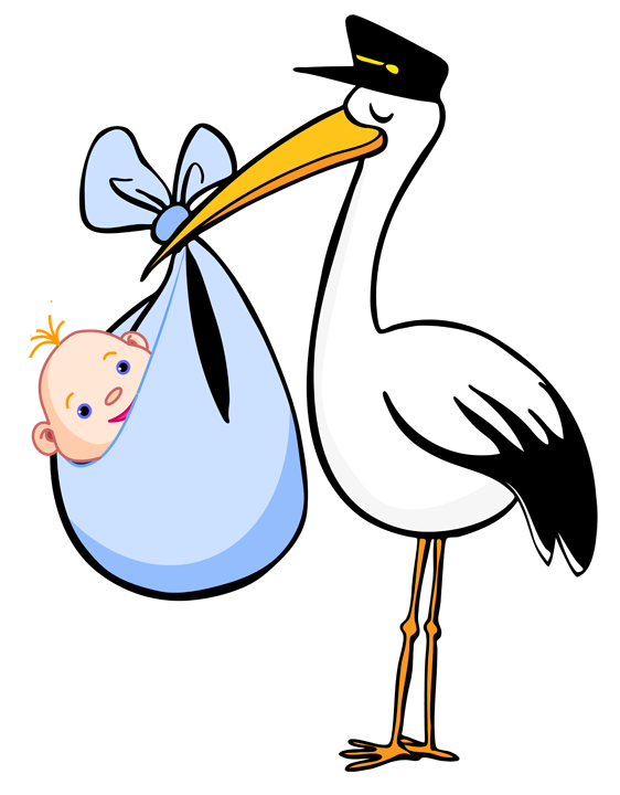 stork baby PNG transparent image download, size: 562x720px