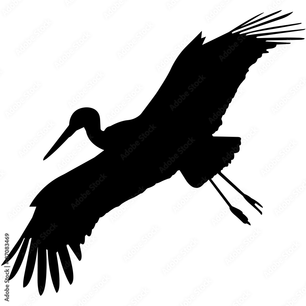 Poster, Wandbilder Stork Silhouette Vector Graphics, 40x40 cm