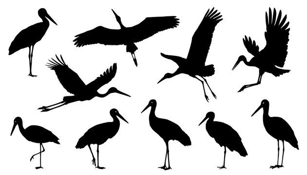 Stork Vector Images – Browse 43,881 Stock Photos, Vectors, and ...