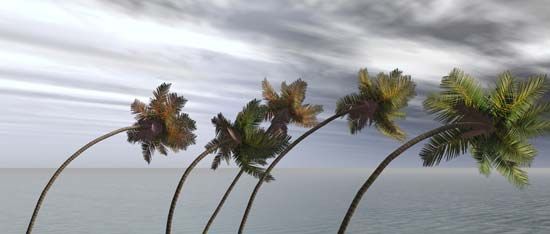 storm pictures for kids