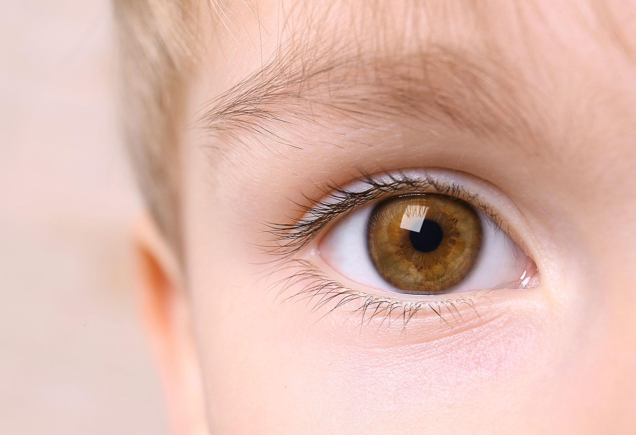 student eyess
