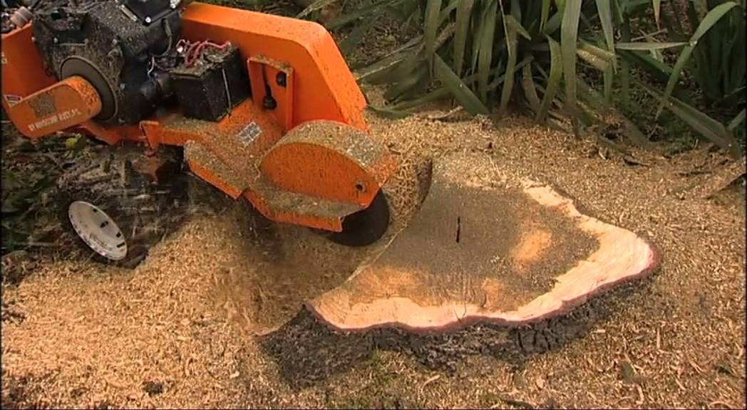 stump grindings