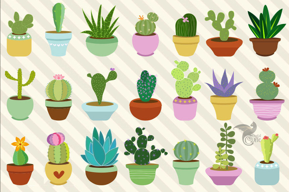 Cactus and Succulent Clipart By Digital Curio | TheHungryJPEG