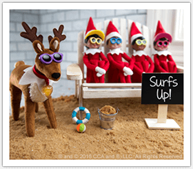 What Is My Scout Elf up to This Summer? | The Elf on the Shelf