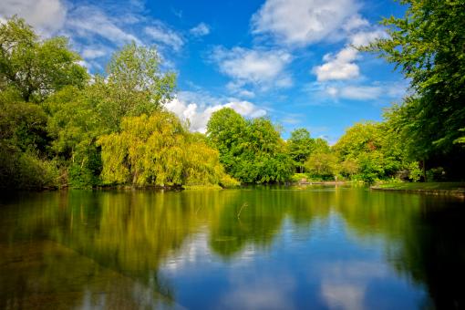 Summer Landscapes - 303 Free Stock Photos - Image Collection by ...