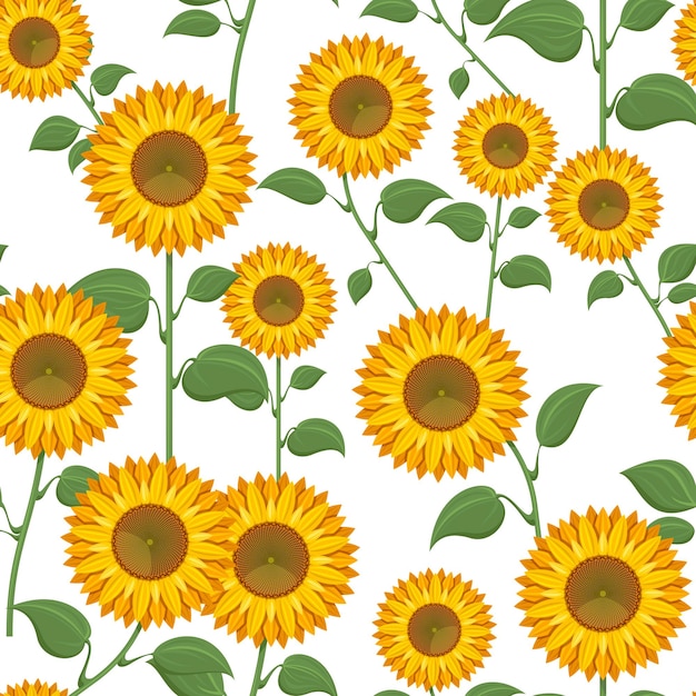 sunflower background cliparts