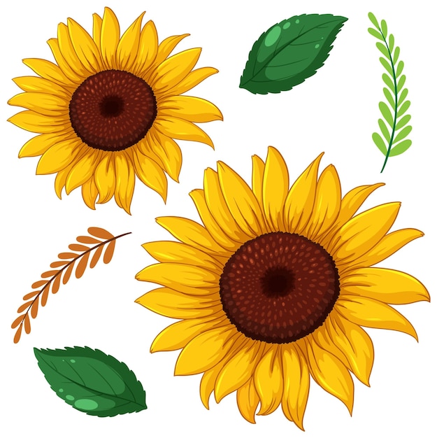 Sunflower Clip Art Images - Free Download on clipart library
