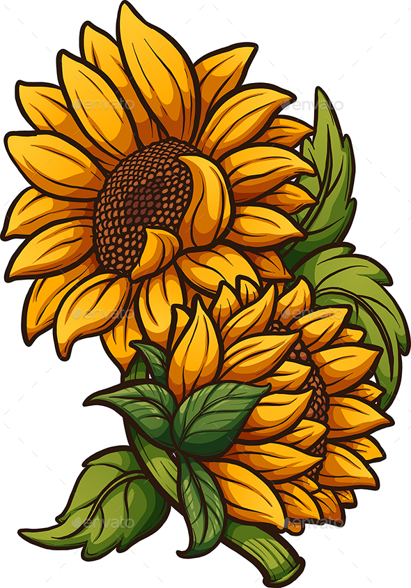 Cartoon Sunflower, Vectors | GraphicRiver