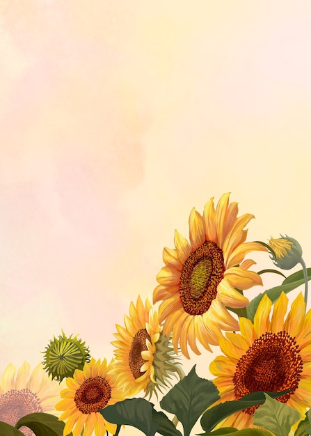 Sunflower Graphics Pictures | clipart library