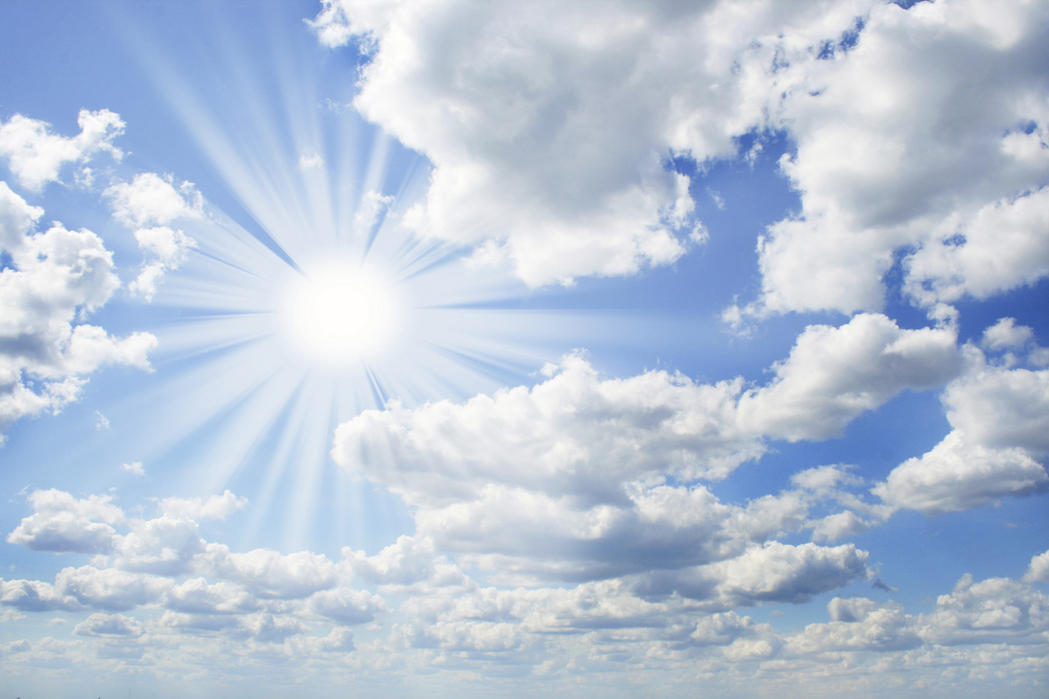 sunny pictures