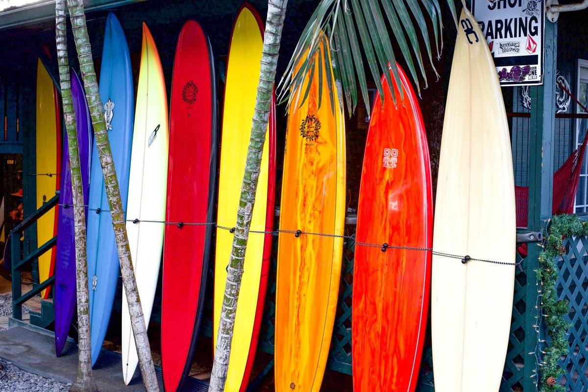 surfboards pictures