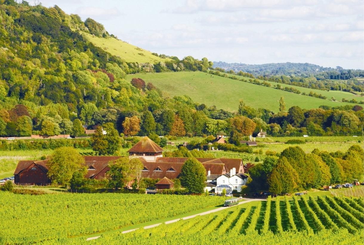The County of Surrey - Visit Surrey