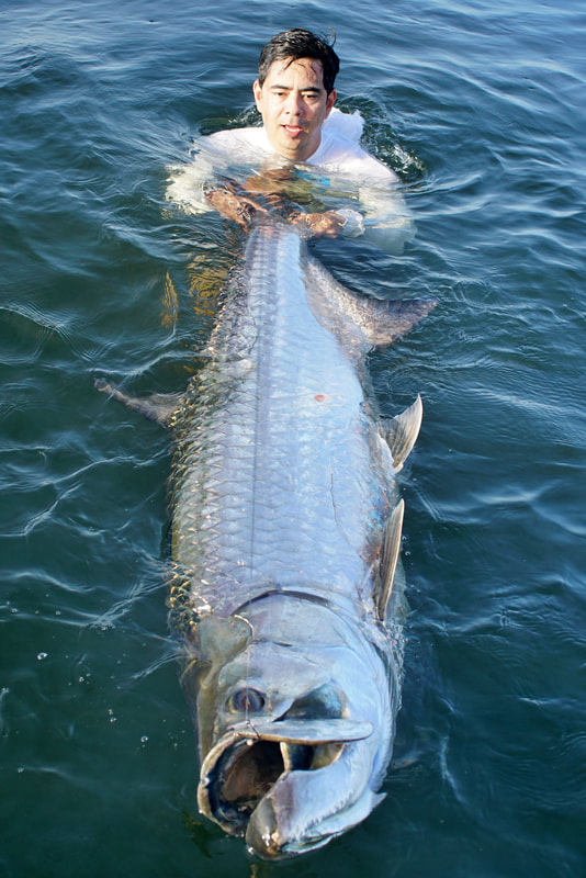 How to Catch Tarpon - Tips for Fishing for Tarpon