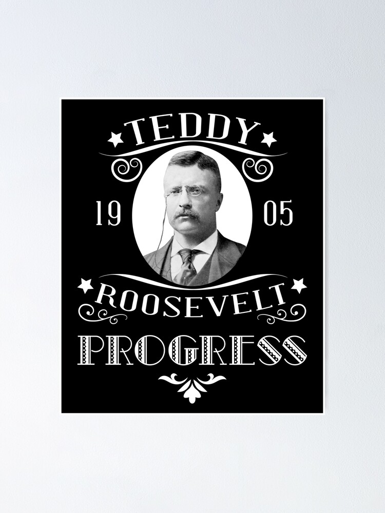 teddy roosevelt campaign poster