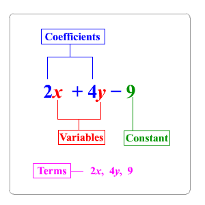 terms