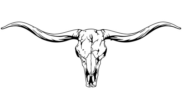 texas longhorn clipart