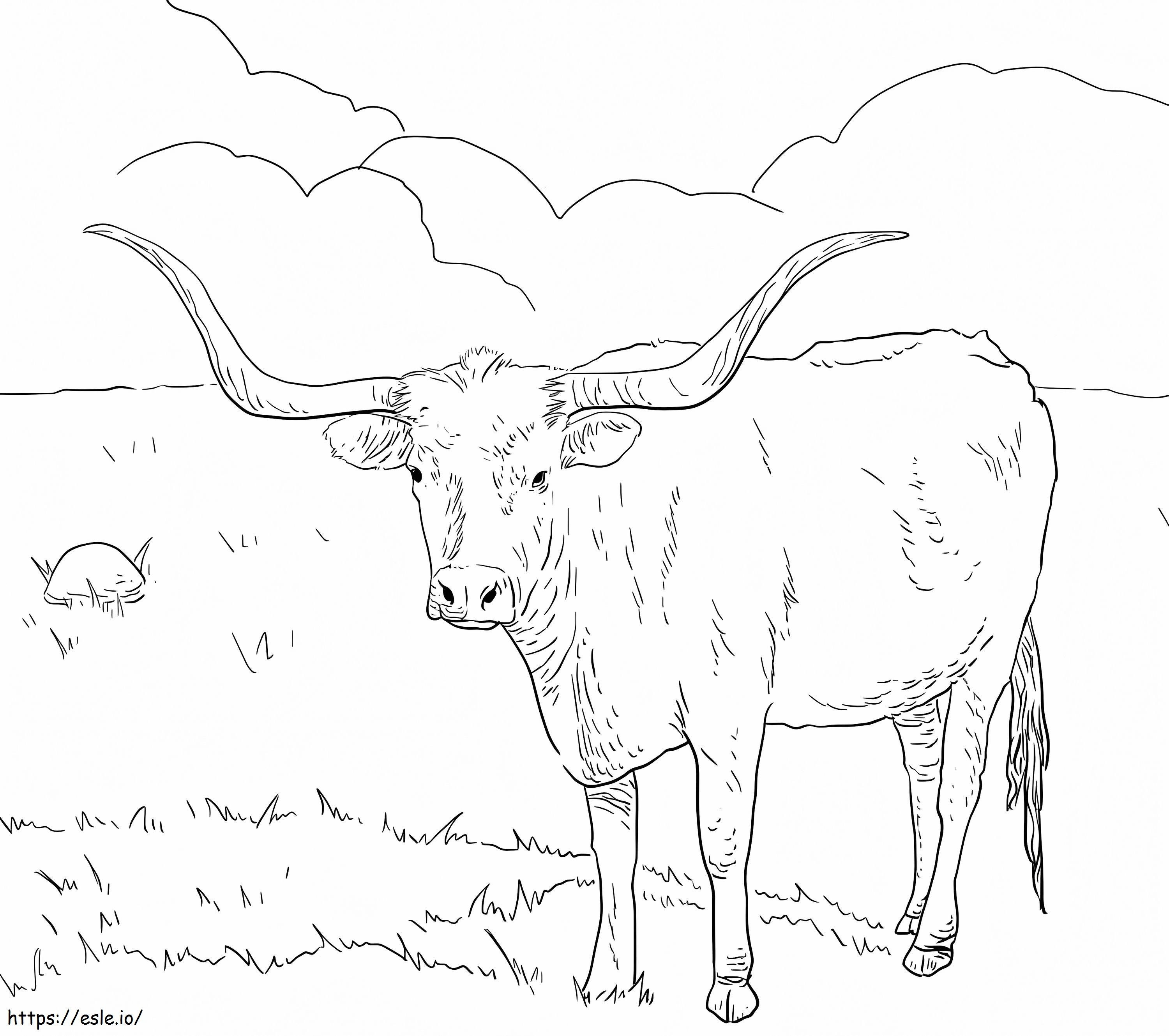 texas longhorn coloring pages