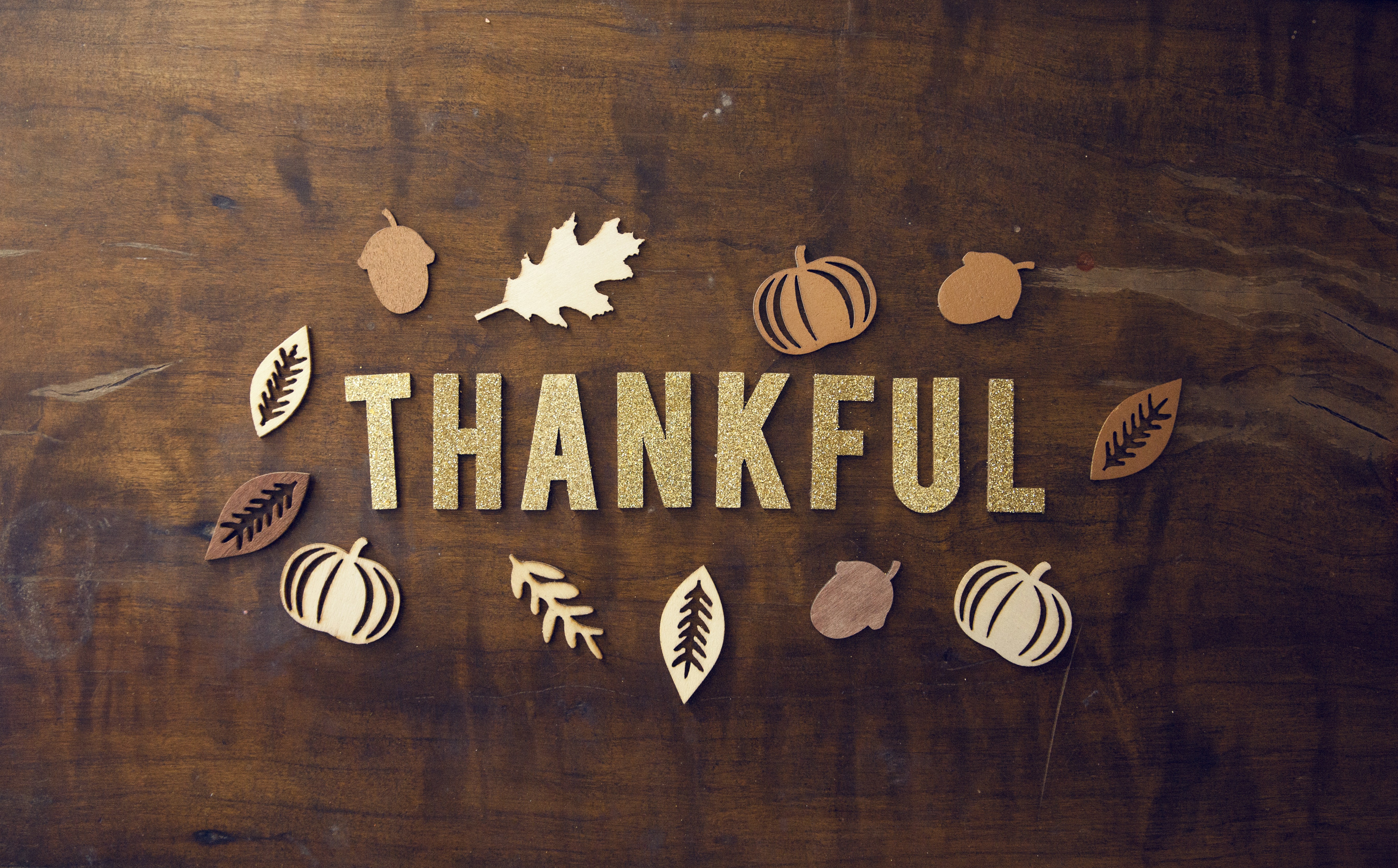 500+ Thanksgiving Pictures | Download Free Images for the Holiday ...