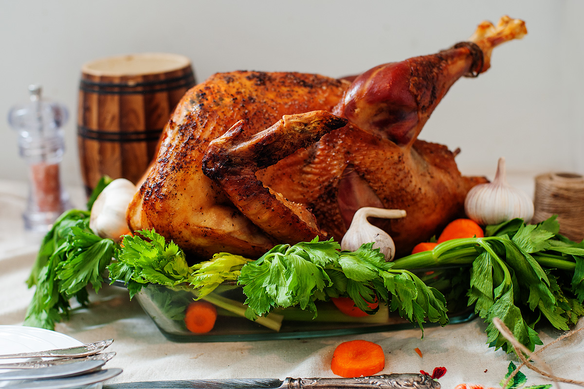 thanksgiving turkey photo