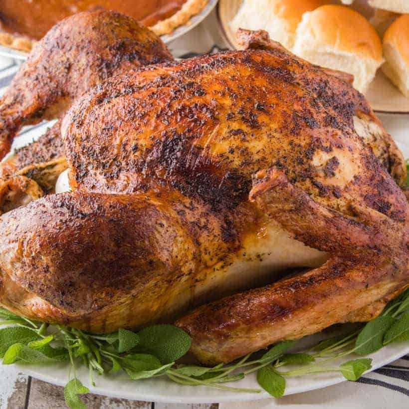 thanksgiving turkey pictures