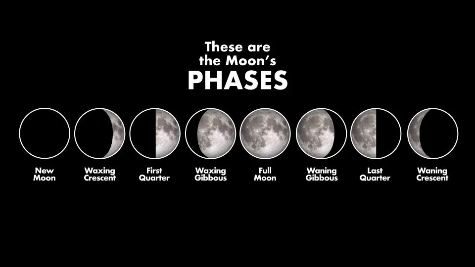 What are the Moons phases?